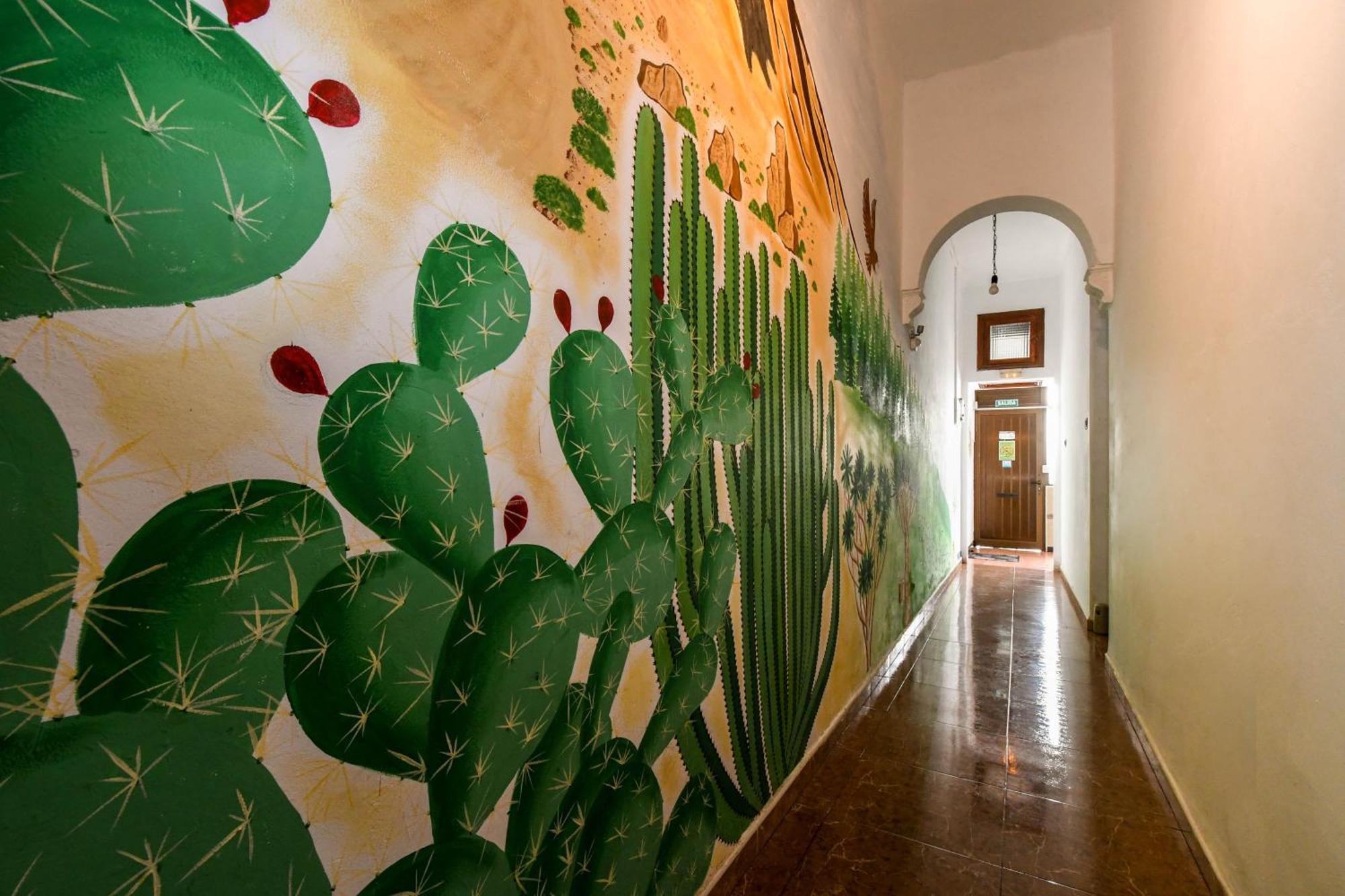 Drago Hostel Icod De Los Vinos Exterior photo